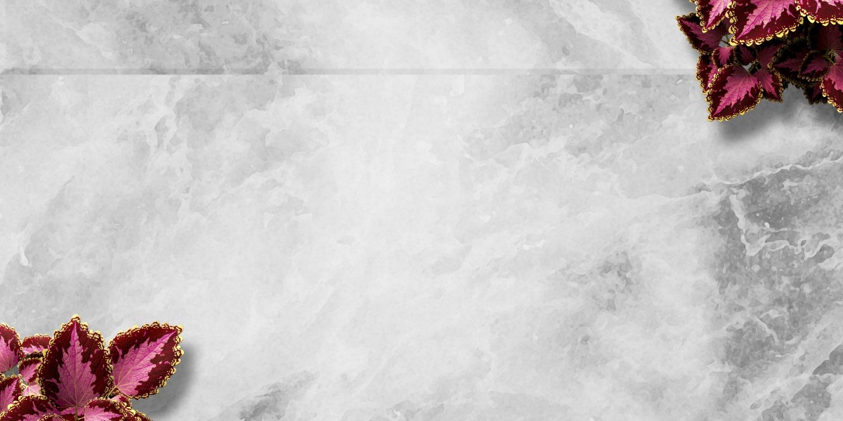 Exploring the Purchase of Modafinil in Canada: A Comprehensive Case Study